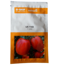 Tomato US 1143